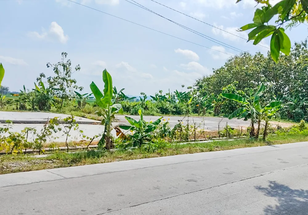 RUMAH DI KAB. GROBOGAN - NPL195-1 - foto 3