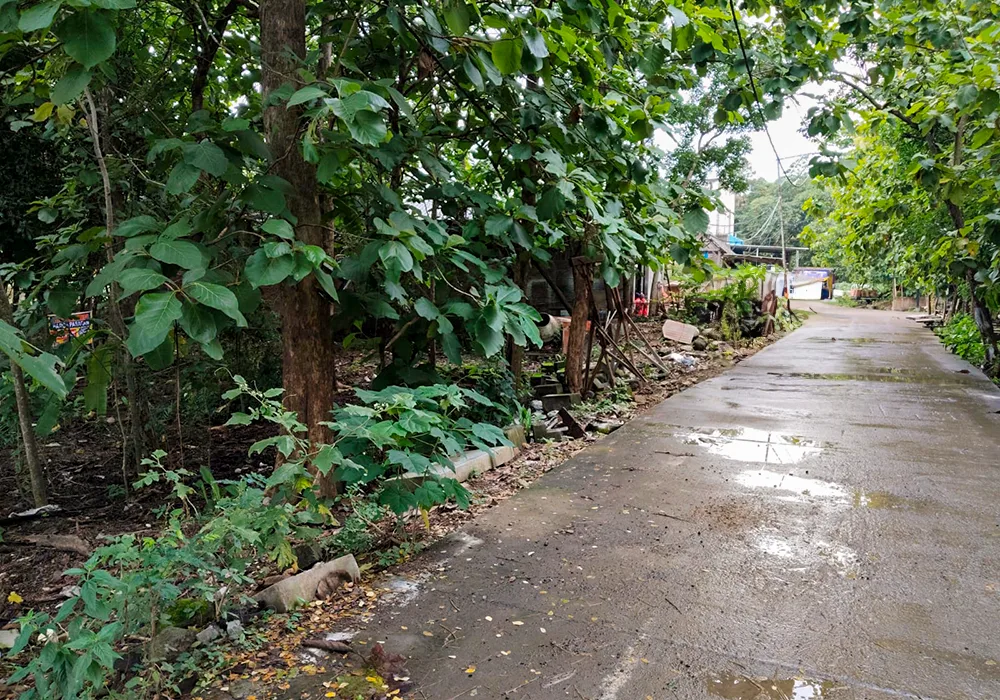 TANAH DI KOTA SEMARANG - NPL195-9 - foto 3