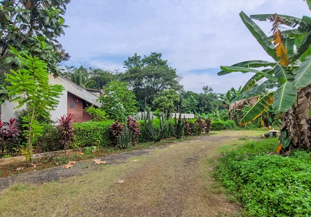 TANAH DI KAB. BOGOR - NPL214-22 - foto 3