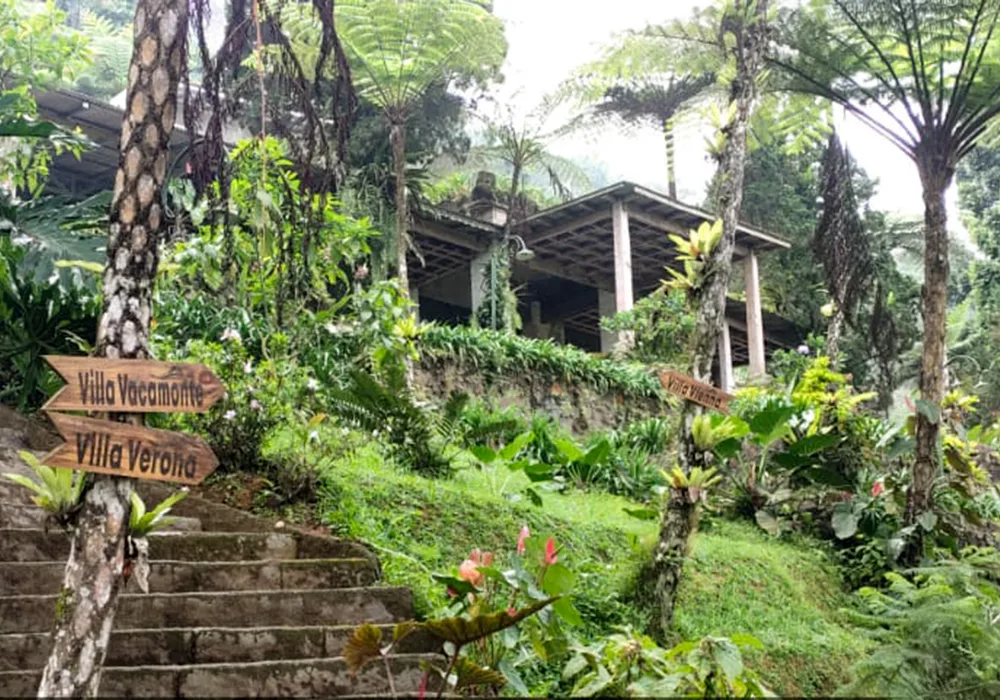 VILLA DI KAB. BOGOR - NPL219-3 - foto 3