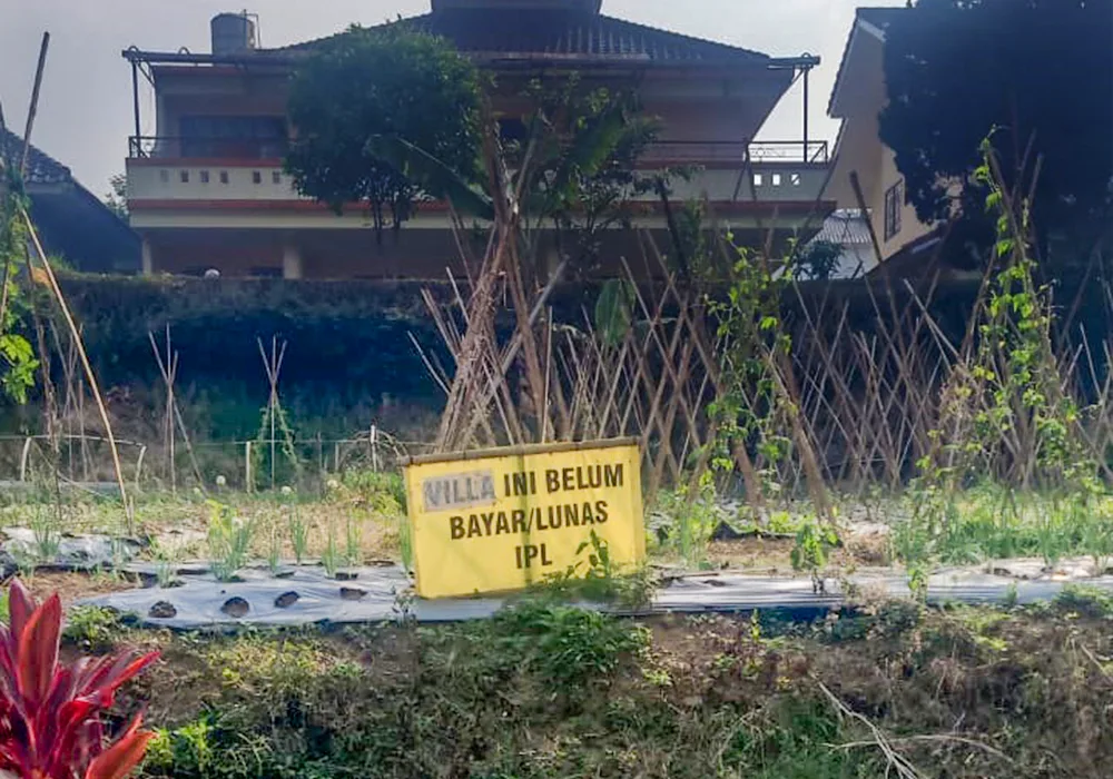 TANAH DI KAB. CIANJUR - NPL221-14 - foto 3