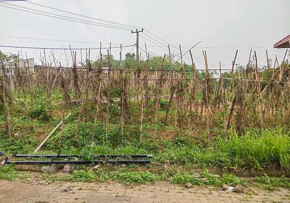 TANAH DI KAB. CIANJUR - NPL221-4 - foto 2