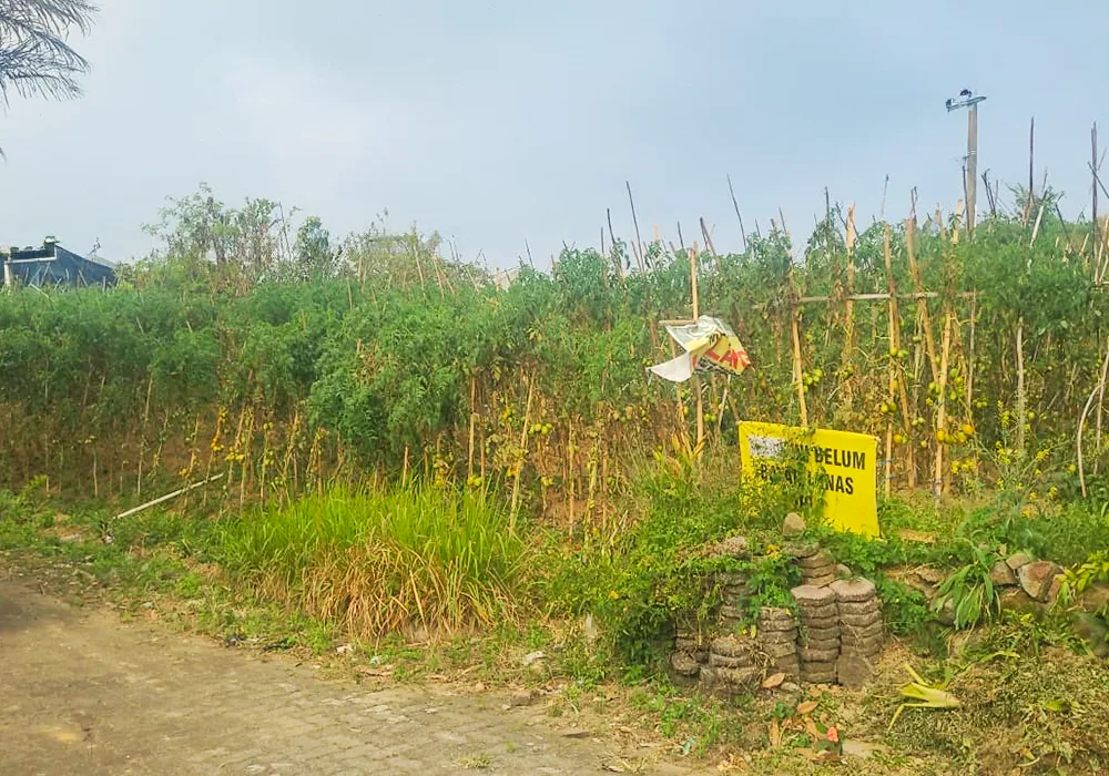 TANAH DI KAB. CIANJUR - NPL221-4 - foto 3