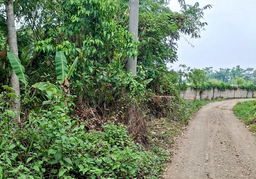 TANAH DI KAB. LEBAK - NPL233-2 - foto 4