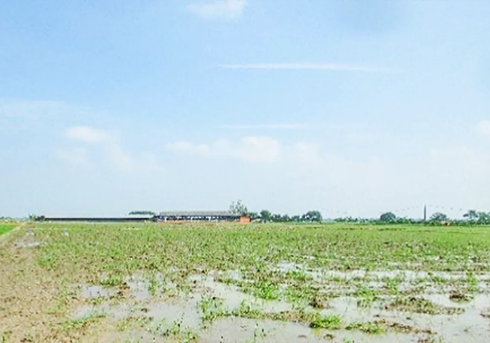 TANAH DI KAB. SUBANG - NPL2601-1 - Jawa Barat