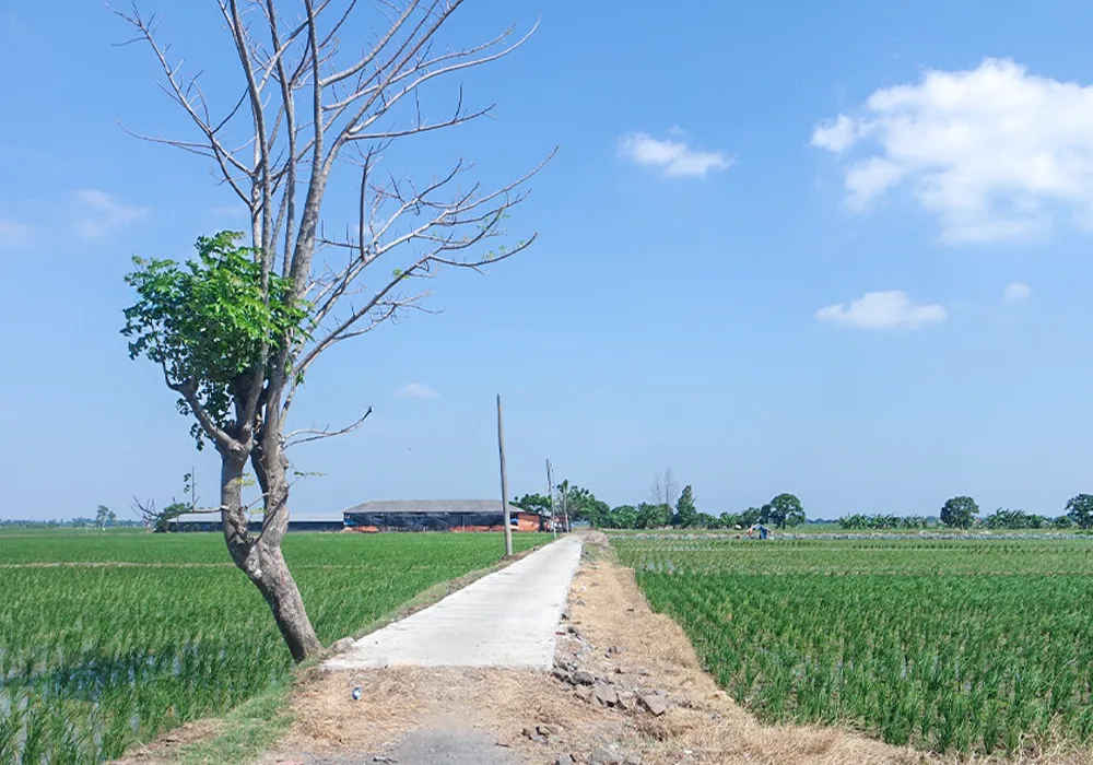 TANAH DI KAB. SUBANG - NPL2601-1 - foto 4
