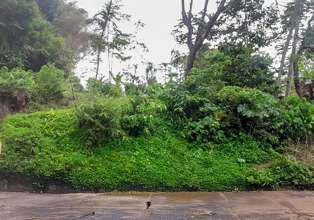 Tanah Luas di Babakan Siliwangi, Arjasari - Bandung NPL414-4 - foto 3