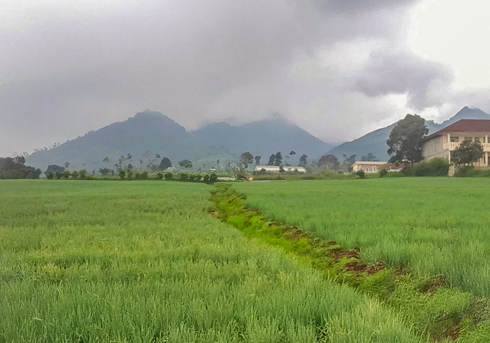 Tanah Luas di Arjasari - Bandung NPL414-6 - foto 2