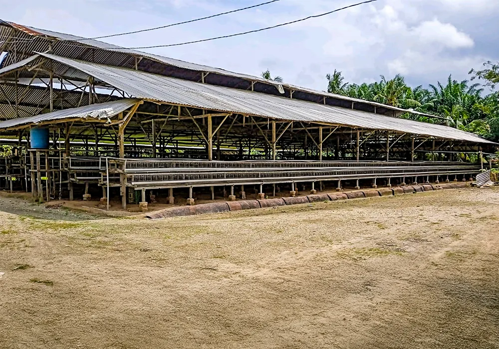 TANAH DI KAB. BANYUASIN - NPL435-3 - Sumatera Selatan
