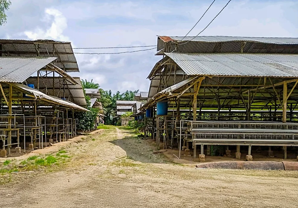 TANAH DI KAB. BANYUASIN - NPL435-3 - foto 2