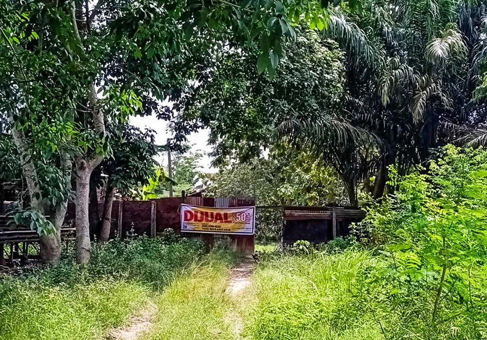 TANAH DI KAB. BANYUASIN - NPL435-3 - foto 4