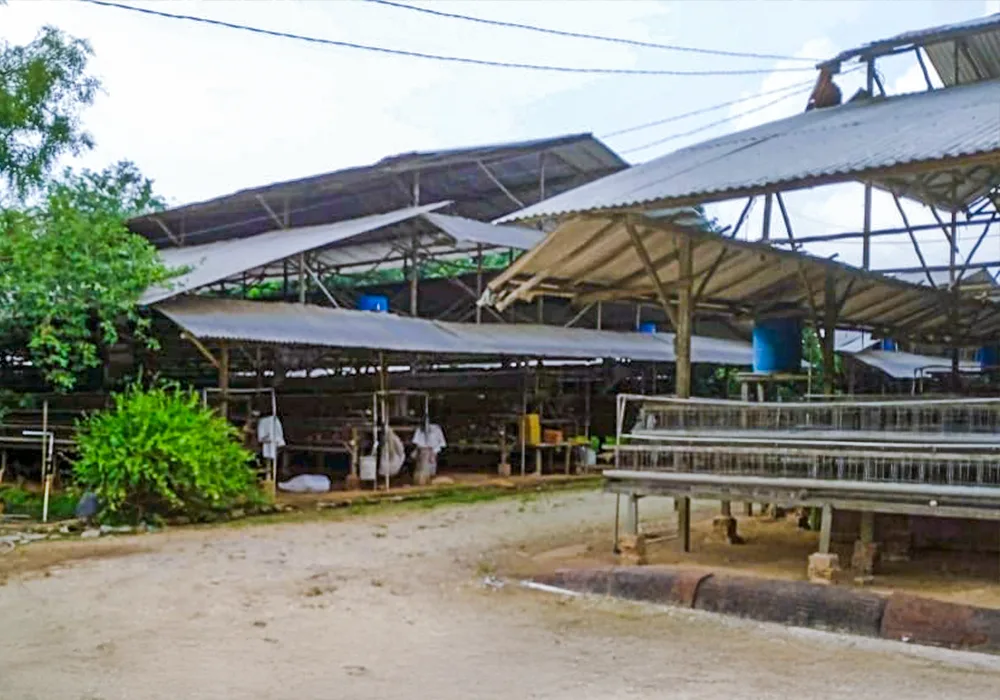 TANAH DI KAB. BANYUASIN - NPL435-3 - foto 5