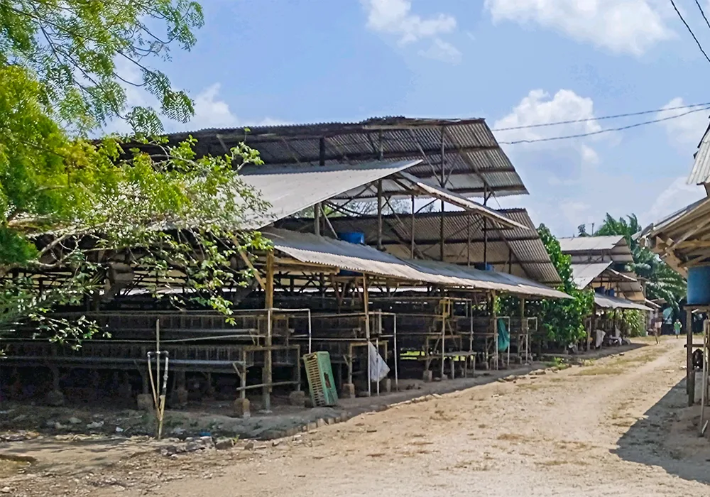 TANAH DI KAB. BANYUASIN - NPL435-3 - foto 6
