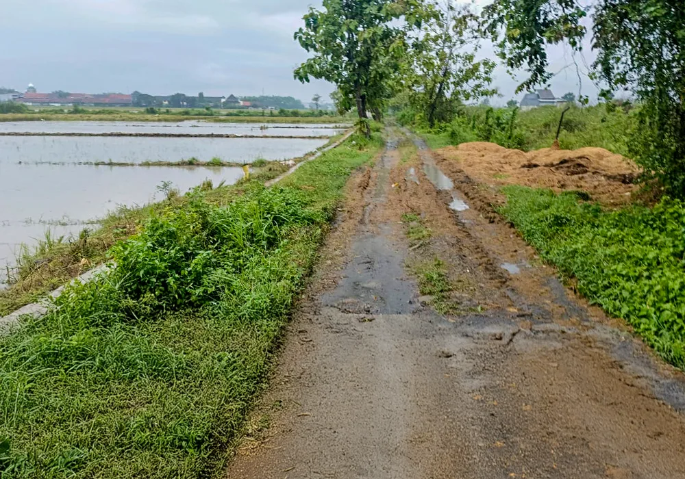 TANAH DI KAB. JOMBANG - NPL437-3 - foto 4