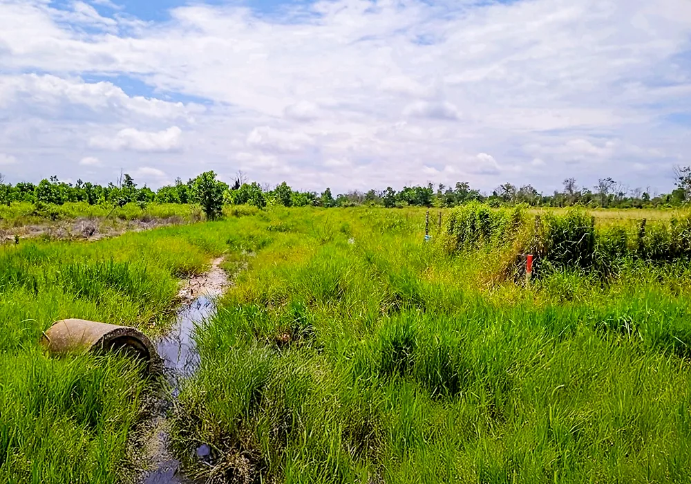TANAH DI KAB. PEKANBARU - NPL458-1 - Riau