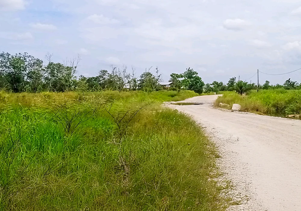 TANAH DI KAB. PEKANBARU - NPL458-1 - foto 3