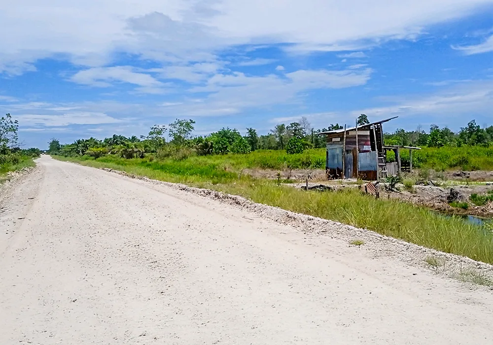 TANAH DI KAB. PEKANBARU - NPL458-1 - foto 4