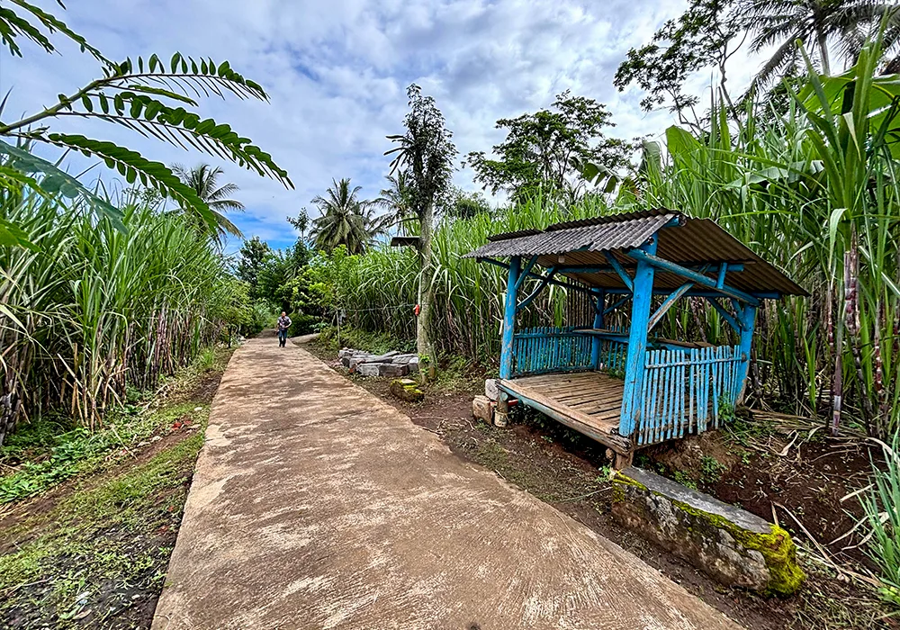 TANAH DI KAB. MALANG - WOFF199-1 - foto 4