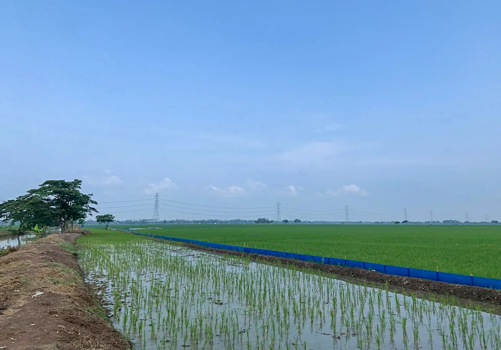 TANAH DI KAB. KARAWANG - WOFF247-1 - foto 2
