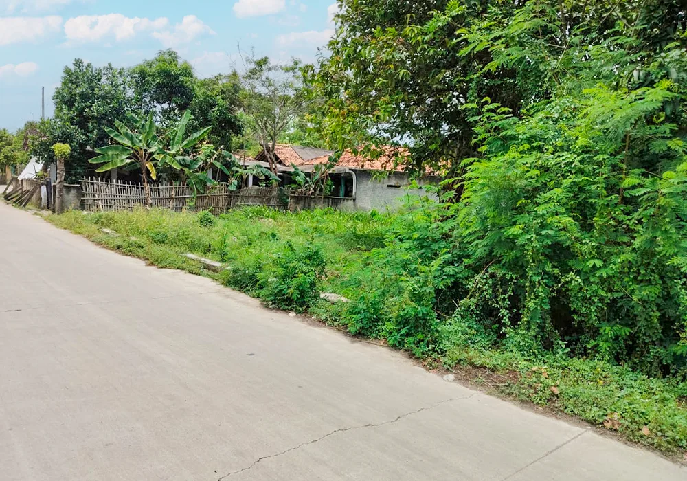 TANAH DI KAB. KARAWANG - WOFF259-2 - foto 3