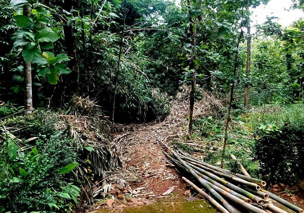 TANAH DI KAB BOYOLALI - WOFF289-1 - foto 3