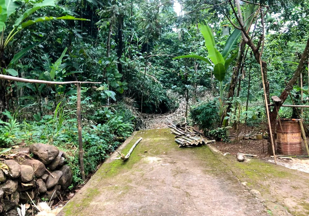 TANAH DI KAB BOYOLALI - WOFF289-1 - foto 4