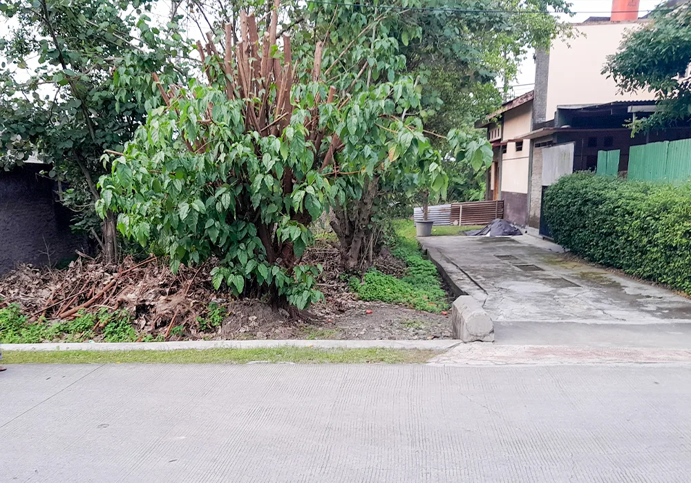 TANAH DI KAB. KARANGANYAR - WOFF334-2 - foto 5