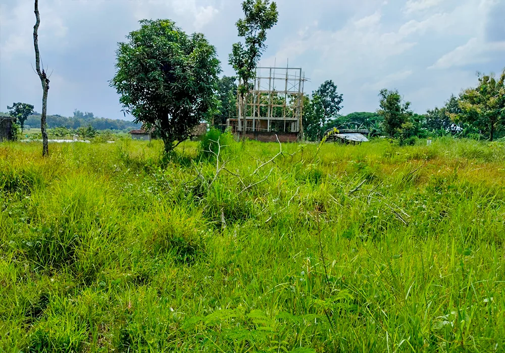 TANAH DI KAB. SUKOHARJO - WOFF363-1 - foto 3