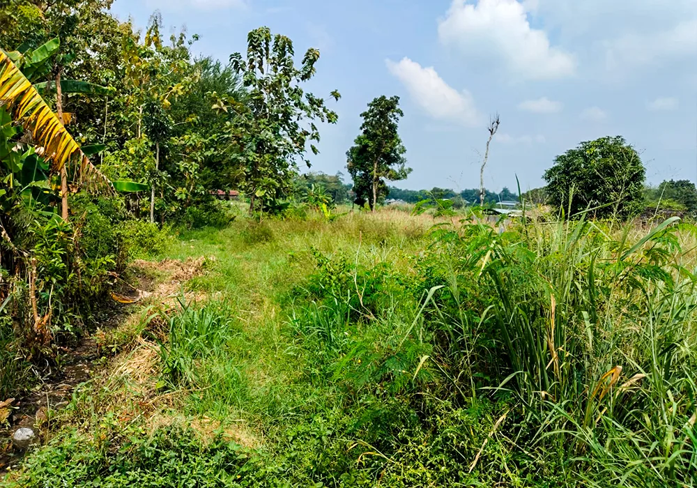 TANAH DI KAB. SUKOHARJO - WOFF363-1 - foto 4