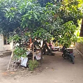 RUMAH DI KAB. KARAWANG - WOFF391-1 - Jawa Barat