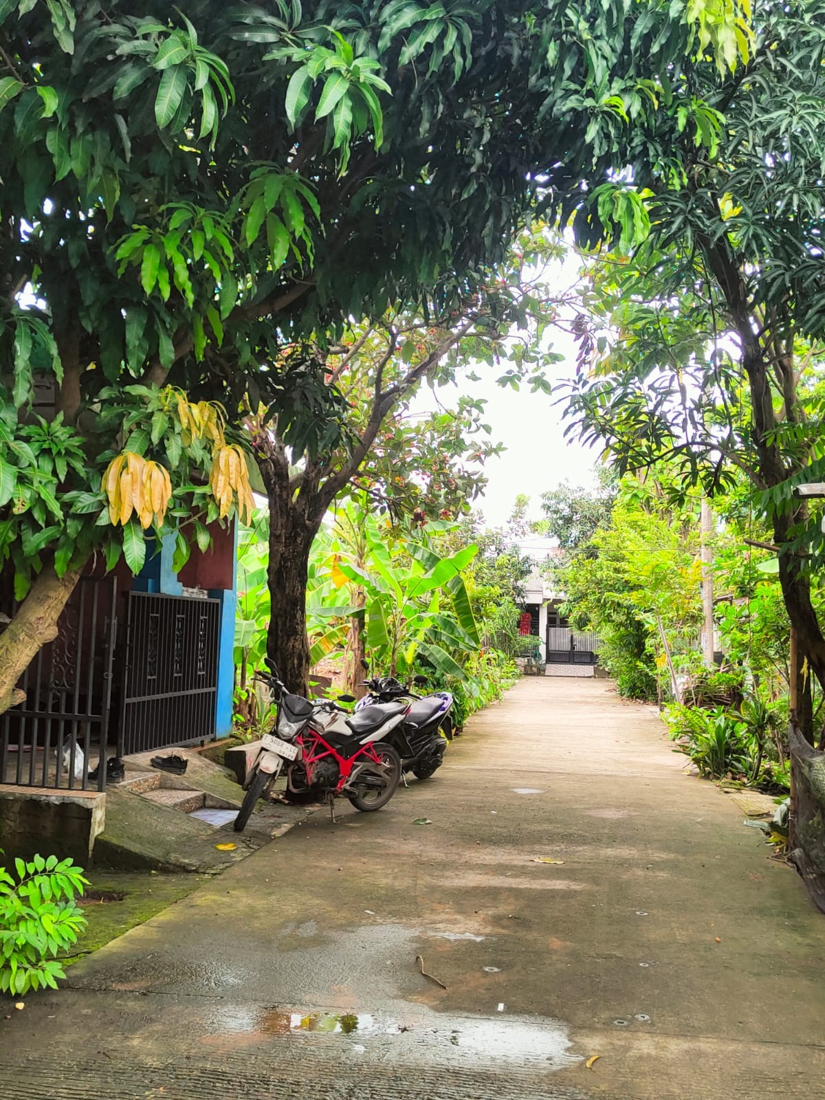 RUMAH DI KAB. KARAWANG - WOFF4262-1 - foto 2