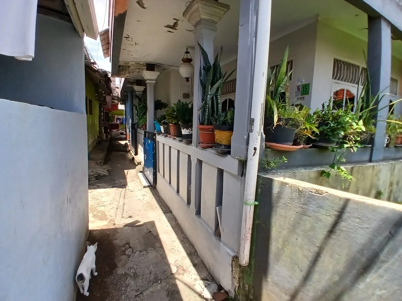 RUMAH DI KOTA BOGOR - WOFF4266-1 - foto 2