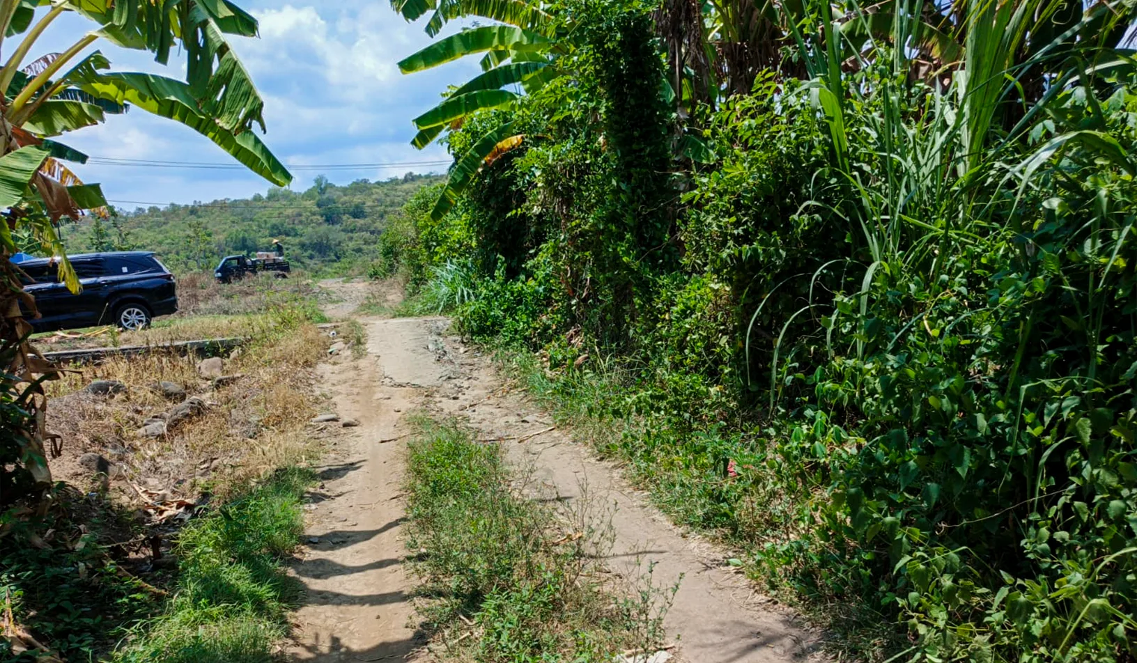TANAH DI KAB. LOMBOK TIMUR - WOFF4993-2 - foto 3