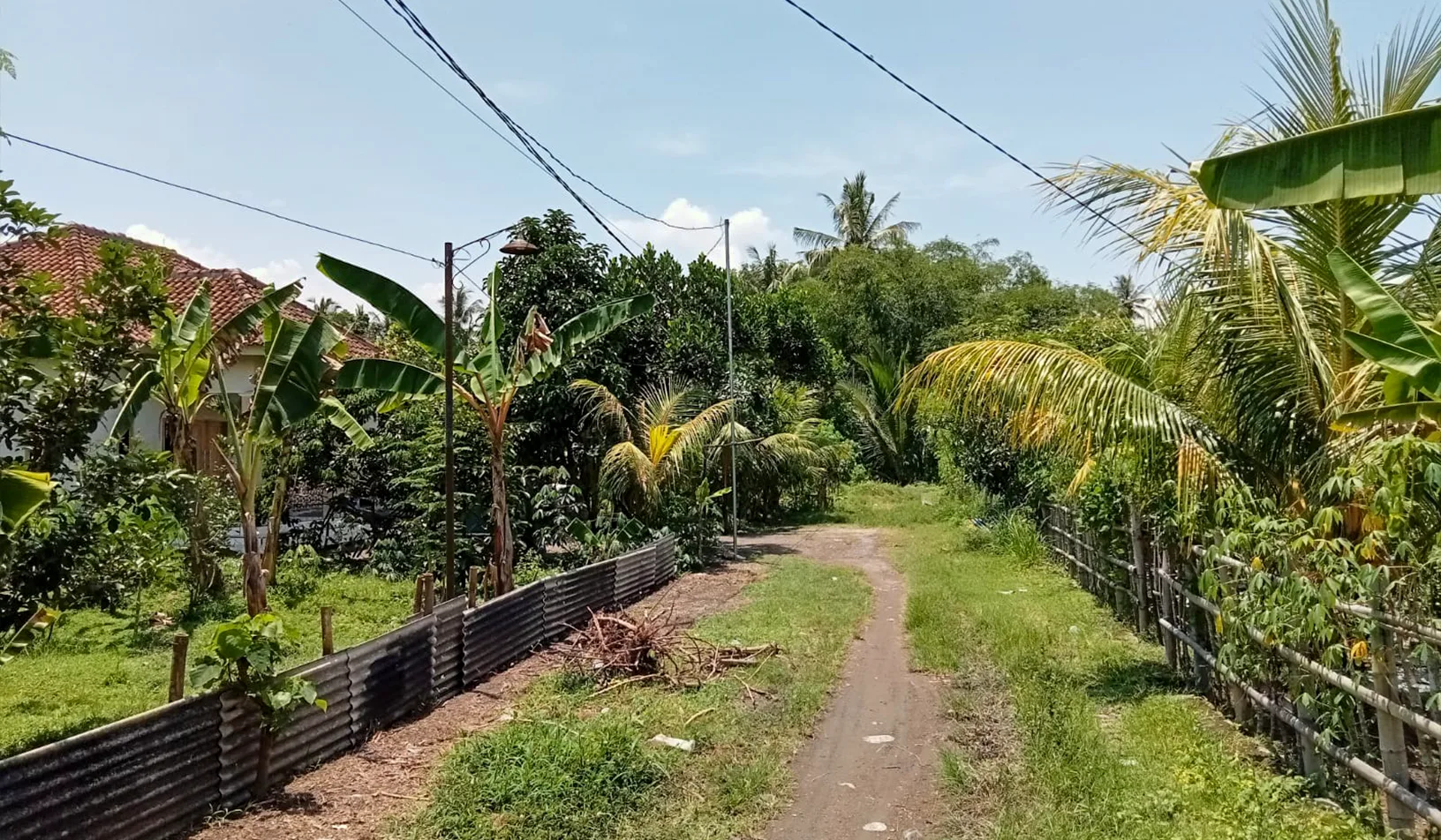 TANAH DI KAB. LOMBOK BARAT -  WOFF4996-1 - foto 2