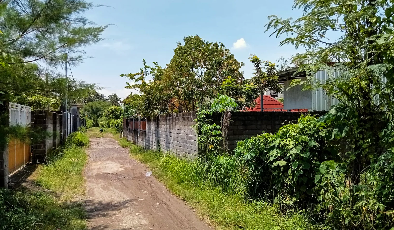 TANAH DI KAB. LOMBOK BARAT -  WOFF4996-1 - foto 3