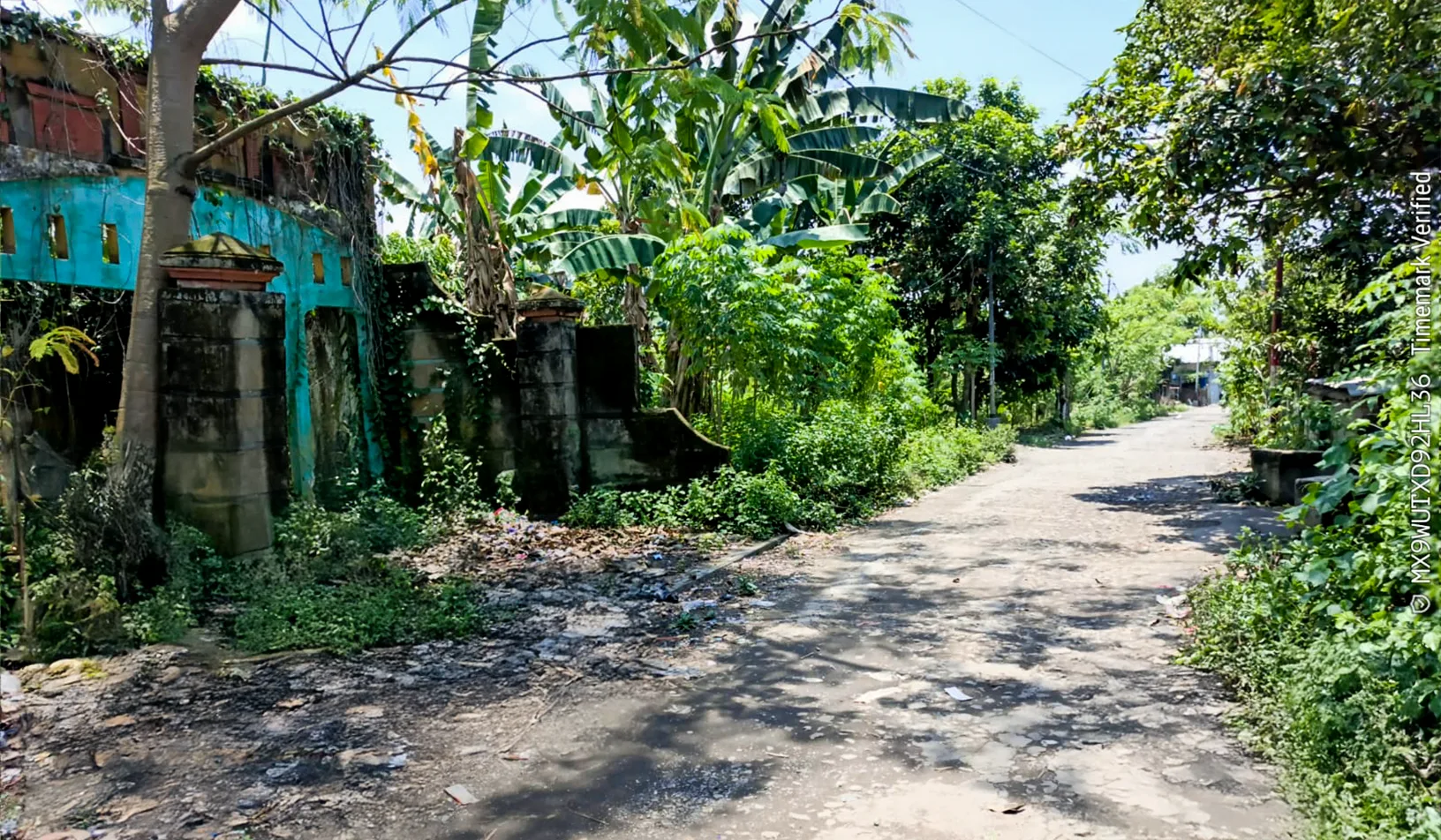 TANAH DI KAB. LOMBOK TENGAH - WOFF4996-3 - foto 2