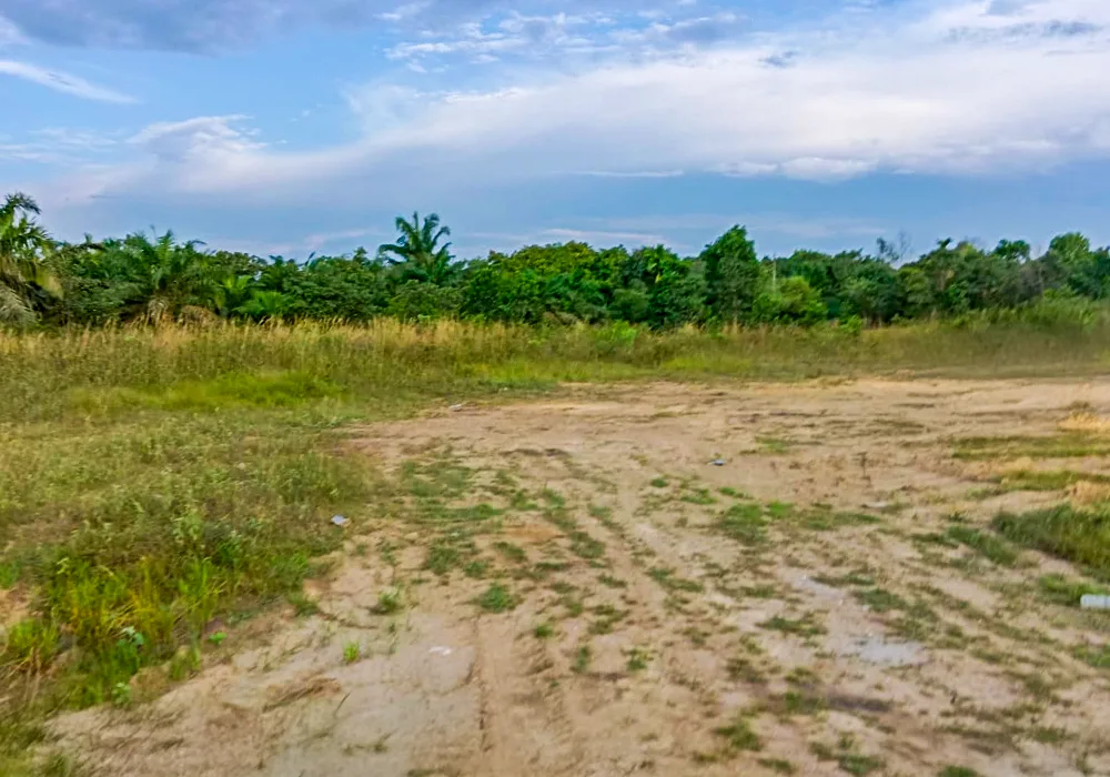 TANAH DI KAB. TANJUNG JABUNG BARAT - WOFF5099-1 - foto 4