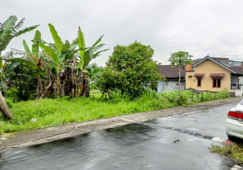 TANAH DI KAB. TEMANGGUNG - WOFF5103-8 - foto 2