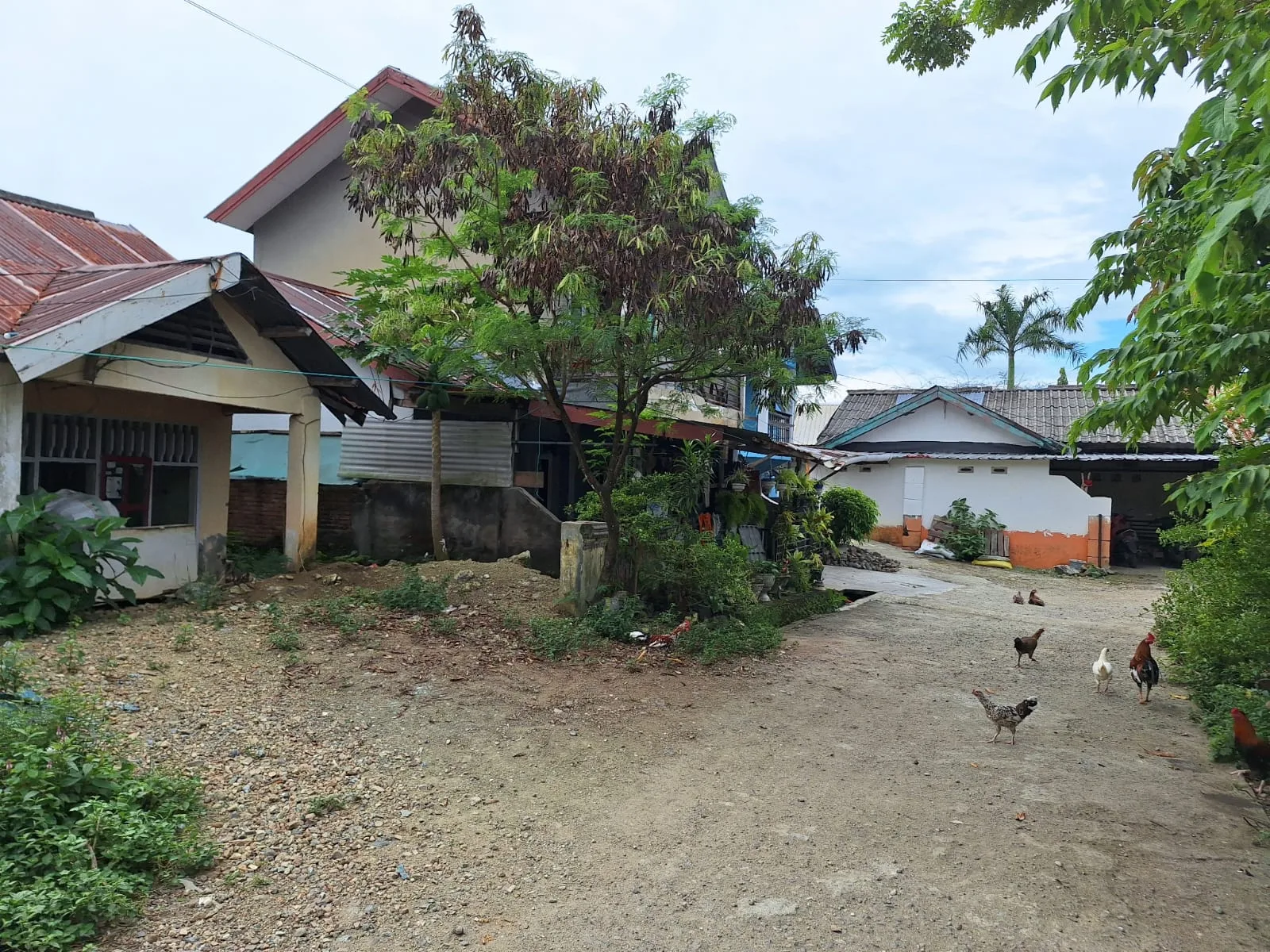 TANAH DI KAB. BARRU - WOFF5119-1 - foto 4