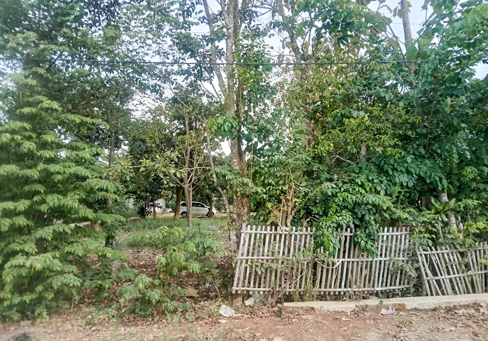 TANAH DI KAB. SUBANG - WOFF564-1 - foto 2