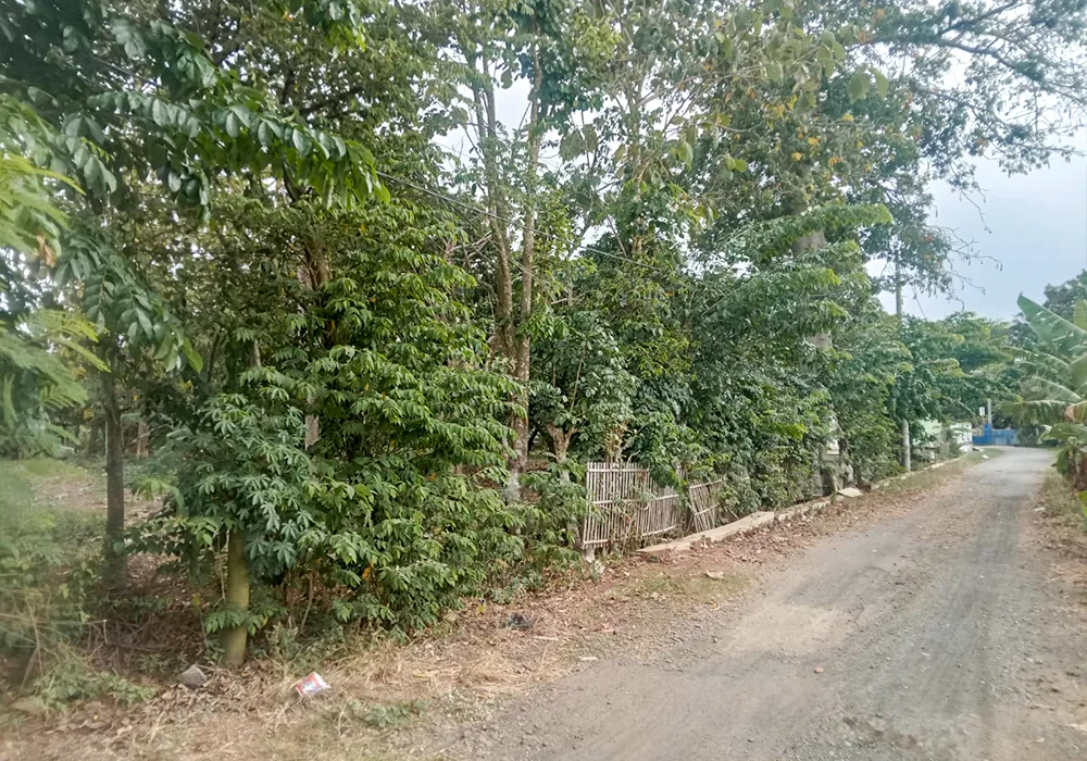 TANAH DI KAB. SUBANG - WOFF564-1 - foto 3