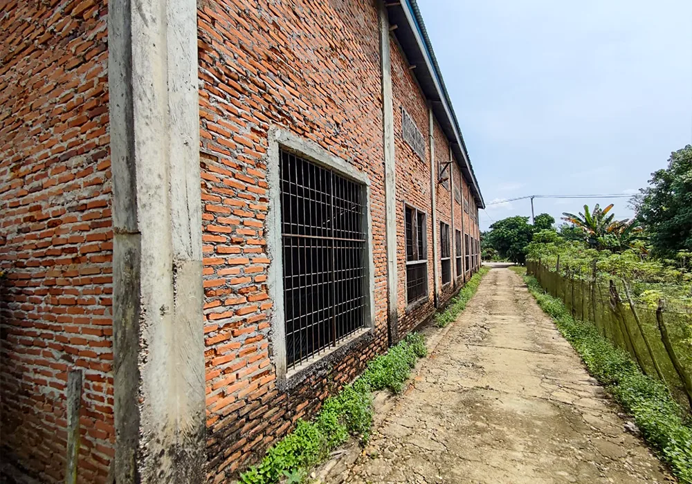 RUMAH DI KAB. KUANTAN SINGINGI - WOFF584-1 - foto 6