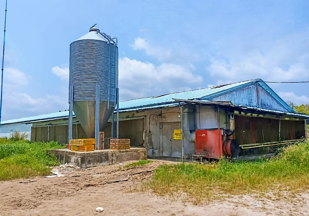 GUDANG DI KOTA SINGKAWANG - WOFF601-3 - foto 4