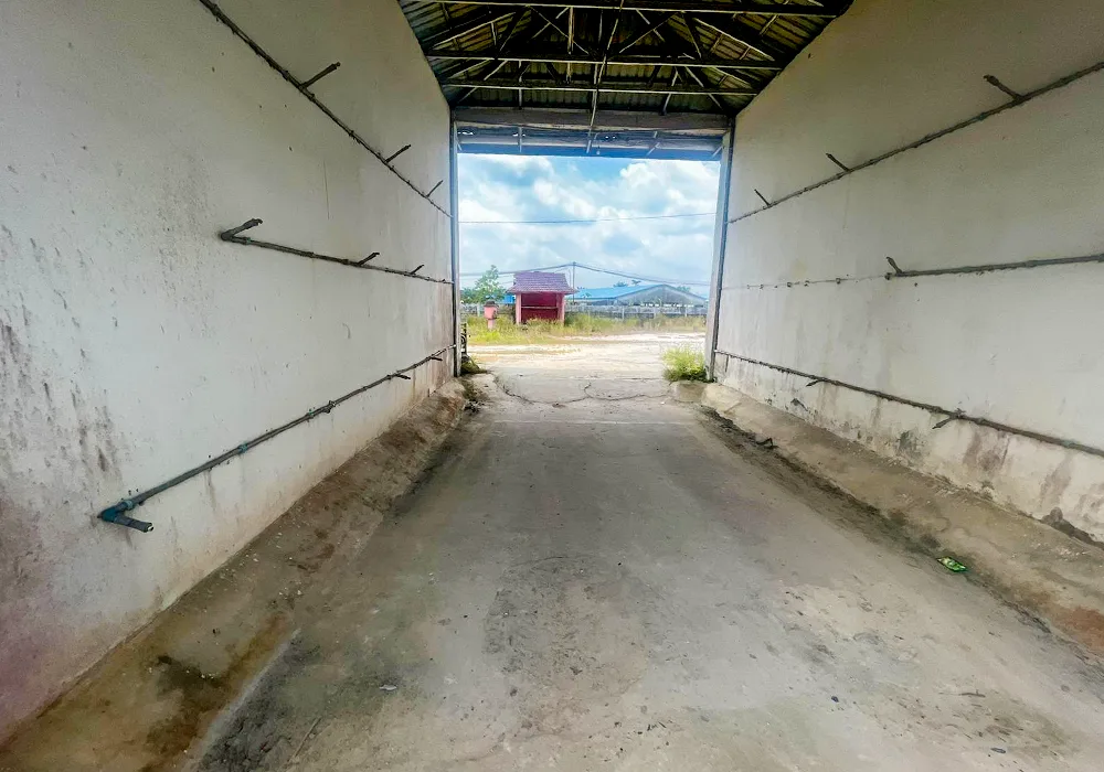GUDANG DI KOTA SINGKAWANG - WOFF601-3 - foto 6