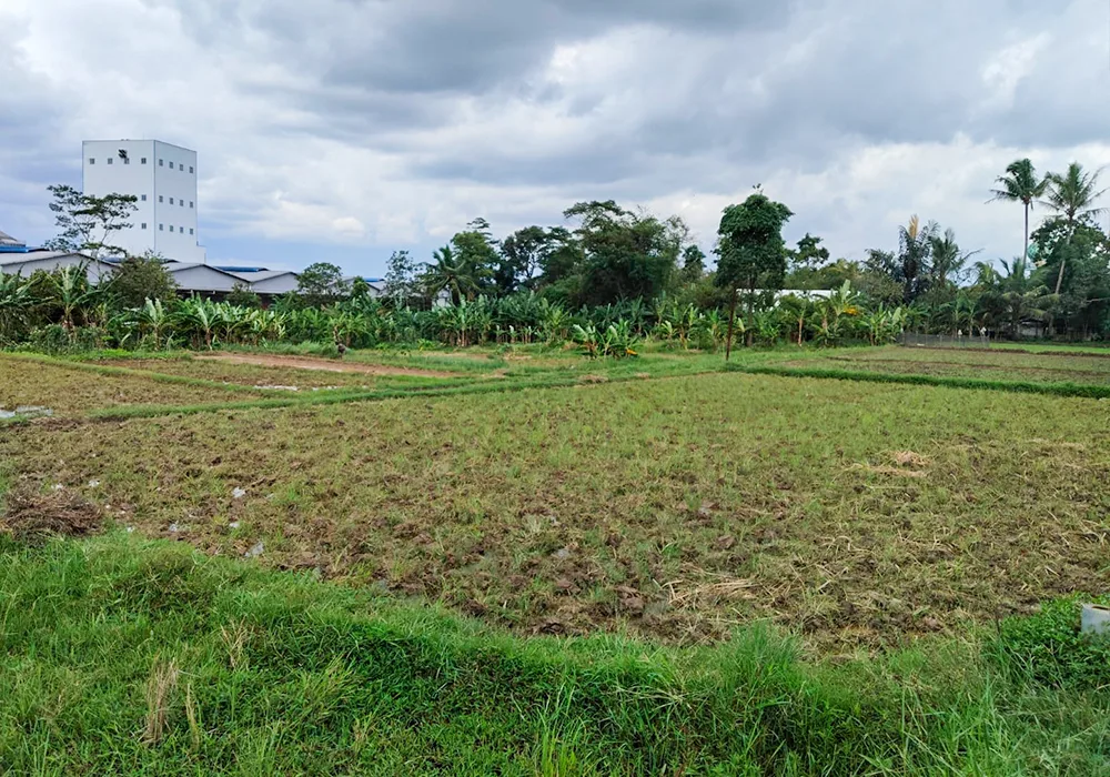 TANAH DI KAB. SERANG - WOFF601-4 - foto 3