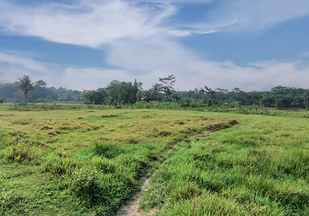 TANAH DI KAB. SERANG - WOFF601-5 - Banten
