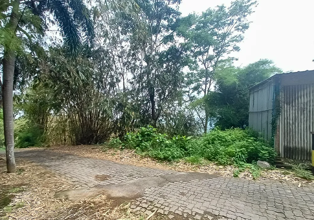 TANAH DI KOTA SEMARANG - WOFF679-9 - foto 3