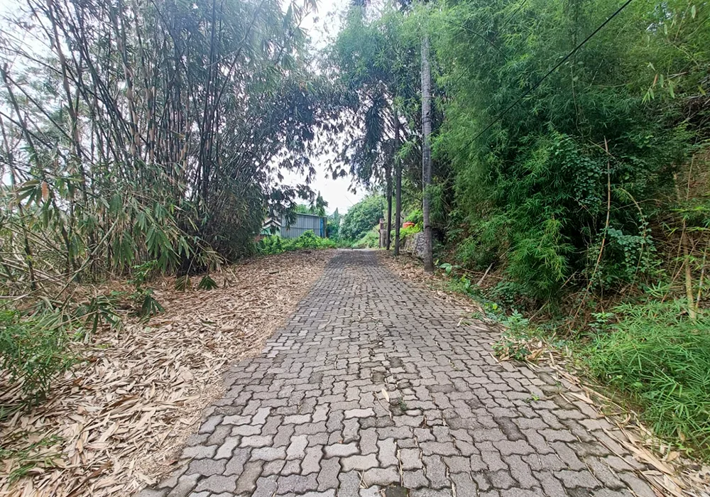 TANAH DI KOTA SEMARANG - WOFF679-9 - foto 4
