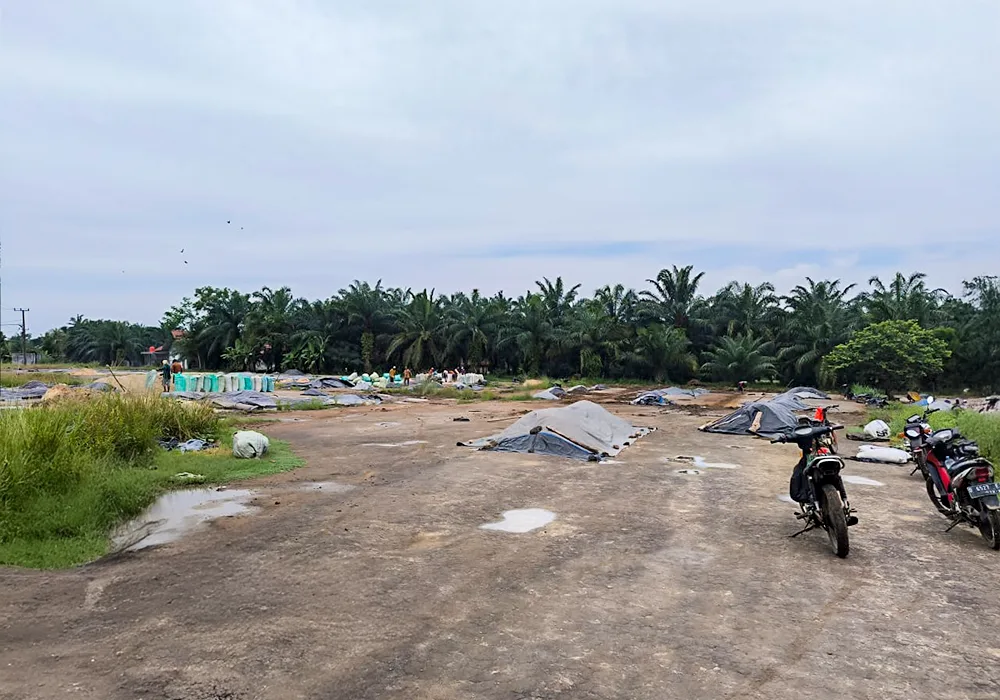 TANAH DI KAB. LAMPUNG UTARA - WOFF743-2 - foto 2