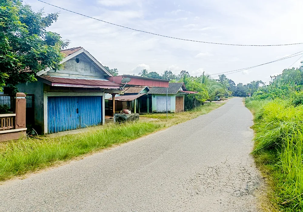 RUMAH DI KAB. TEBO - WOFF745-1 - foto 2
